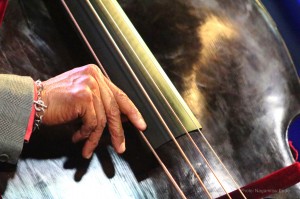 IMG_6558-imp